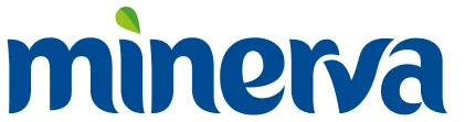 Logo Minerva